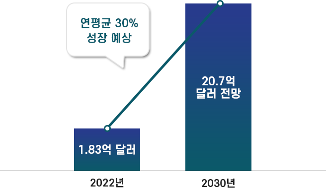 대한민국 AI 시장 규모 전망